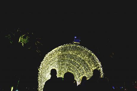 Christmas at Kew