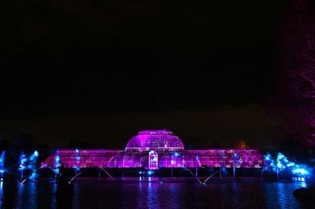 Christmas at Kew
