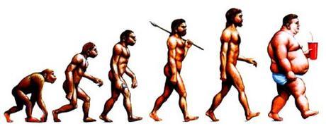 evolution of man