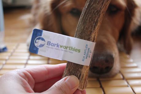 Barkworthies elk antler chew for dogs review and giveaway