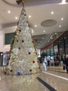 Tree Christmas shopping Silverburn Glasgow men's