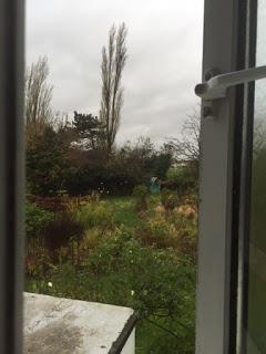 A window into the garden