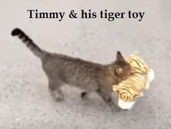 Timmy and tiger plush toy