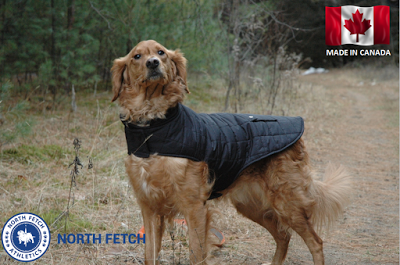 Warm winter walks: #NorthFetch dog apparel is Canadian and cozy