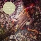 HCTF's best of 2015 (15-11)