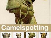 Camelspotting Various Artists Music from Middle East