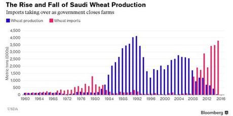Audacious ‘Desert Wheat’ Scheme Wilts in Saudi Arabia
