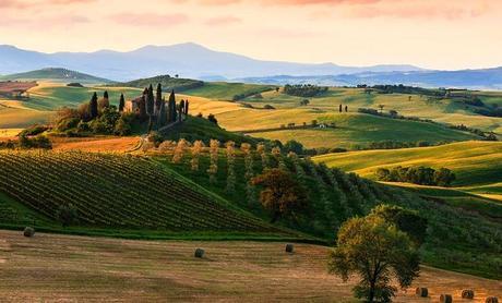 What’s So Great About Tuscany Anyway?