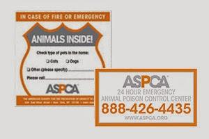 Image: Free Pet Safety Pack