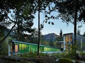 Modern Forest Retreats