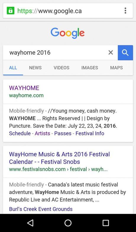 Wayhome 2016 Secret Revealed?