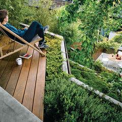 An Architect's Tips for Creating a Garden in the Heart of the City
