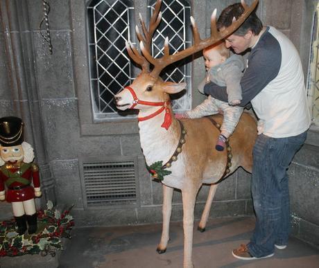 Our Festive December Week 2 - Magical Christmas at Thomasland, Visiting Liverpool and Making Christmas Pictures!