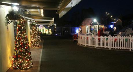 Our Festive December Week 2 - Magical Christmas at Thomasland, Visiting Liverpool and Making Christmas Pictures!