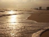 Tasty Travel Alabama, Florida Coasts