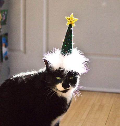 Top 10 Festive Costume Christmas Tree Cats