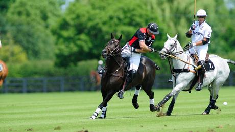 Polo –  A team sport played on horseback.