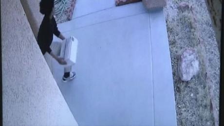 thief steals box of dog poop in Las Vegas