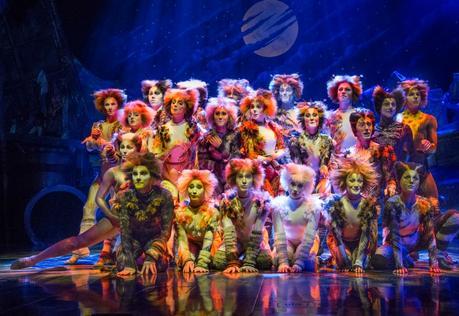 Cats the musical