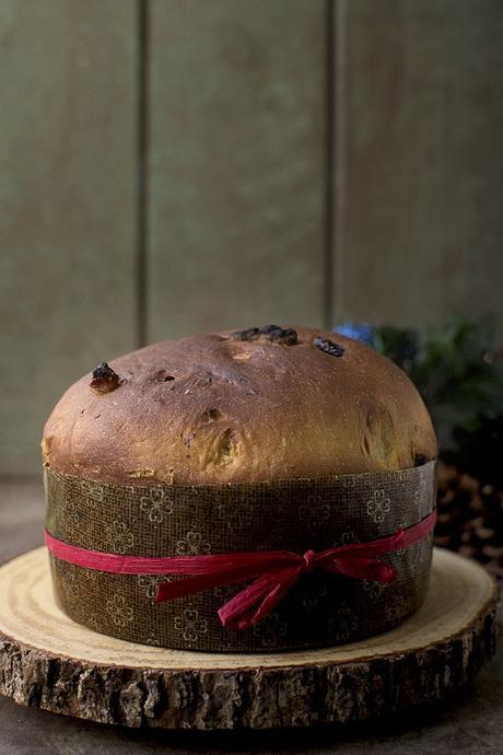 Panettone recipe