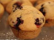 Vegan Blackberry Mini Muffins