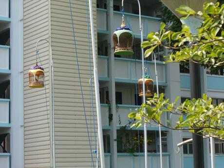Have You Seen The Hanging Bird Cages In Singapore