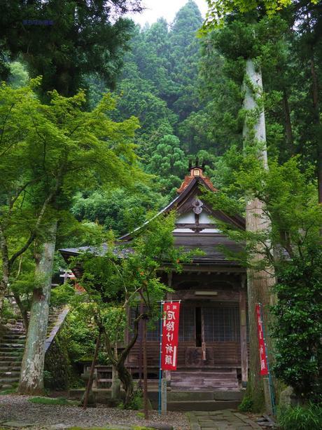 清流に心洗われる郡上八幡 / Gujo Hachiman, with pristine waterways.