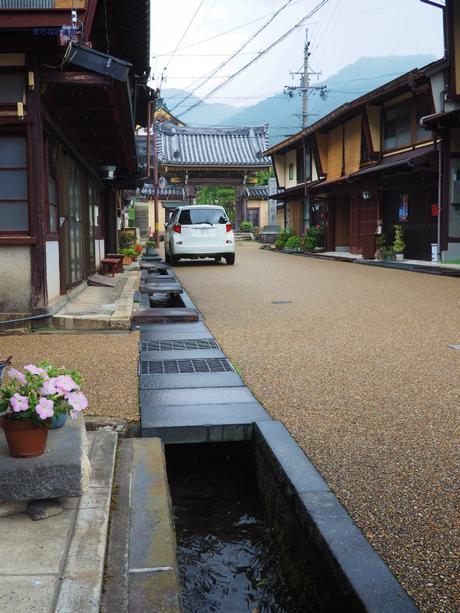 清流に心洗われる郡上八幡 / Gujo Hachiman, with pristine waterways.