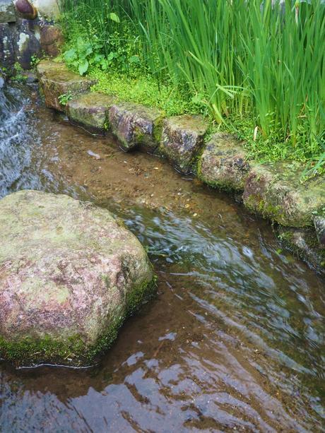 清流に心洗われる郡上八幡 / Gujo Hachiman, with pristine waterways.