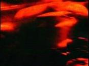 Music: Weeknd “Low Life” Future