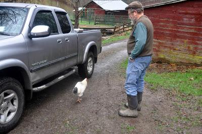 A Man, a Chicken. a Moment