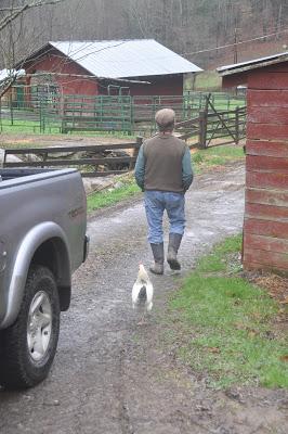 A Man, a Chicken. a Moment