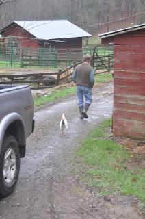 A Man, a Chicken. a Moment