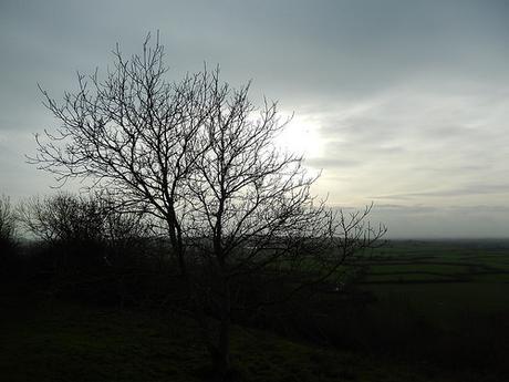 Boxing Day and the Breeze