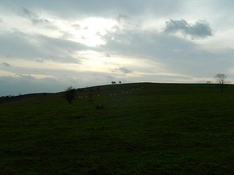 Boxing Day and the Breeze