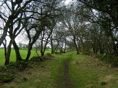 Boxing Day and the Breeze