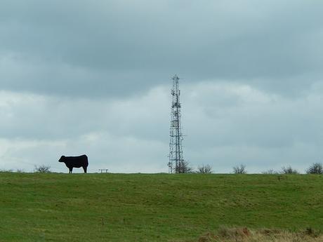 Boxing Day and the Breeze