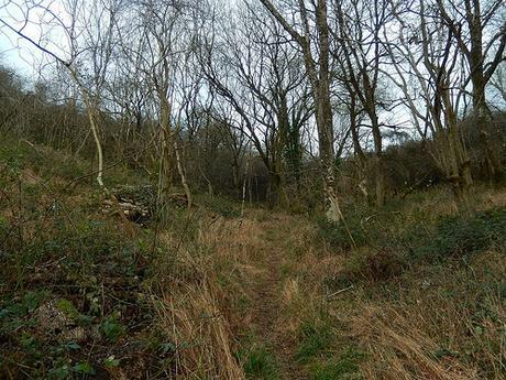 Boxing Day and the Breeze