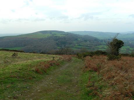 Boxing Day and the Breeze