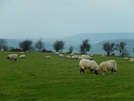 Boxing Day and the Breeze