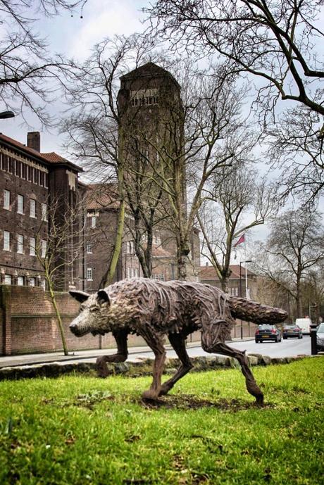 The Best of 2015 On The Daily Constitutional February: Wolf At Denmark Hill  #London2015