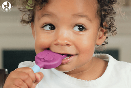 7 Easy Ways to Help your Toddler Chew Food