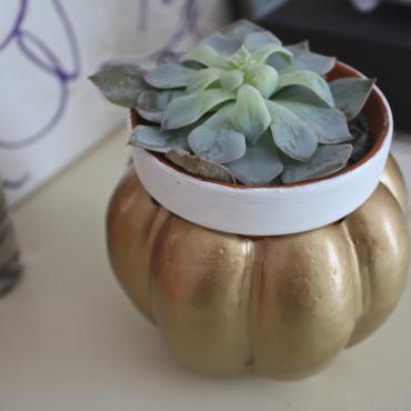 Handmade Holiday: Succulent Pumpkin Planters