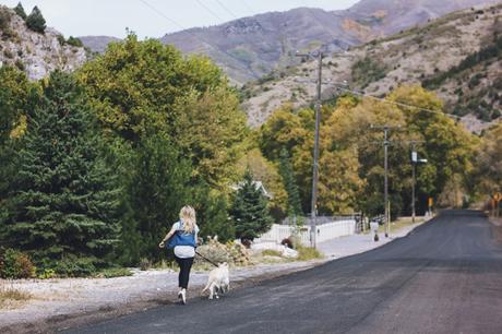 Exploring Ophir Canyon