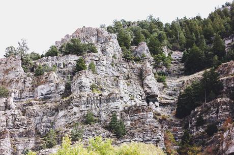 Exploring Ophir Canyon