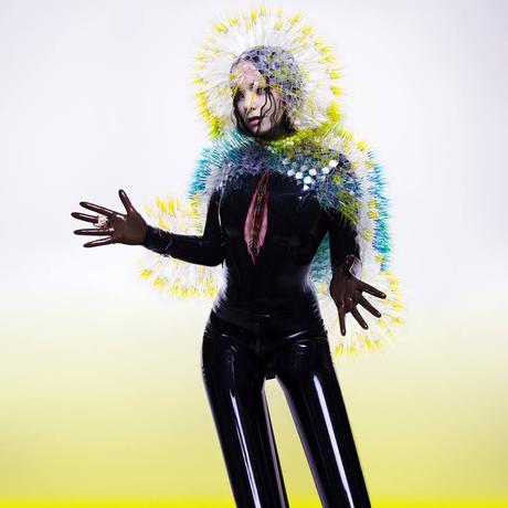 Björk-Vulnicura-Artwork