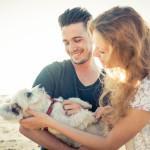 Couple with cute dog spending time on the beach