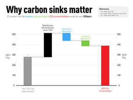 carbon-sinks