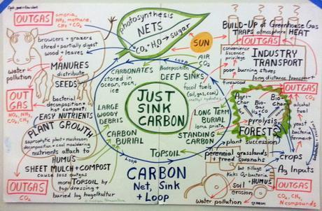 carbon-net-sink-and-loop