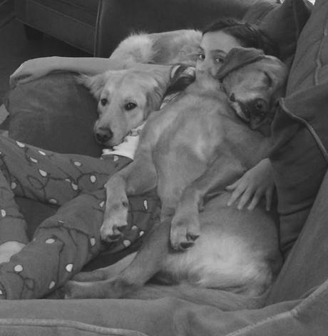 golden retriever dogs snuggles #blackandwhitesunday